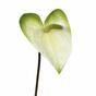 Rama artificial Anthurium blanco-verde 55 cm