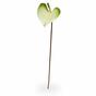 Rama artificial Anthurium verde-blanco 50 cm