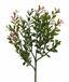 Rama artificial Buxus 45 cm