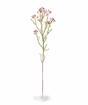 Rama artificial Chamelaucium uncinatum rosa 65 cm