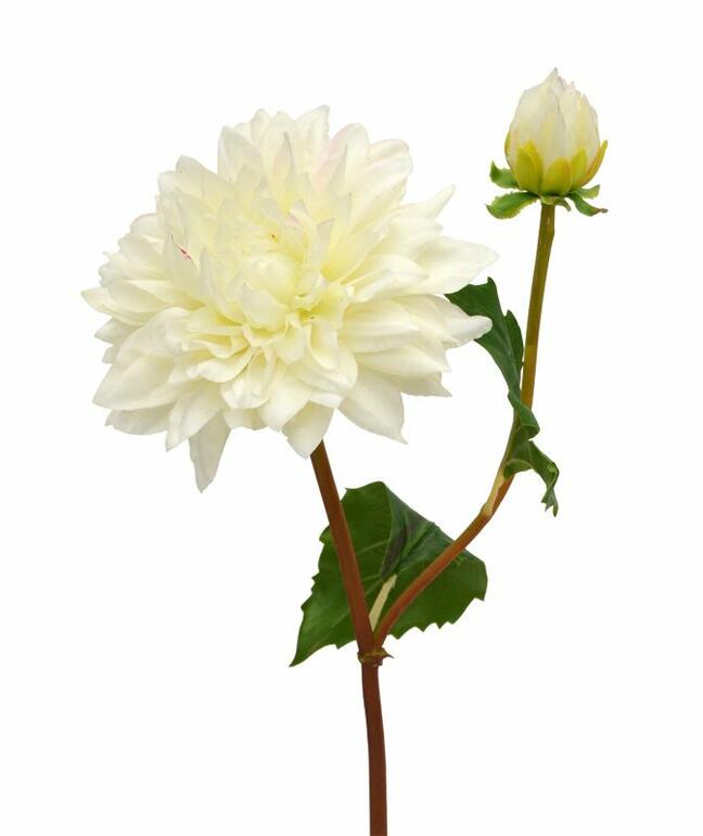 Rama artificial Dália crema 50 cm