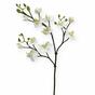 Rama artificial de Orquídea blanca 60 cm