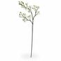 Rama artificial de Orquídea blanca 60 cm