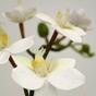 Rama artificial de Orquídea blanca 60 cm