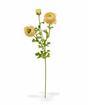 Rama artificial Iskerník crema-rosa 70 cm