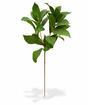 Rama artificial Laurel derecha 60 cm