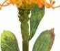Rama artificial Leucadendron naranja 60 cm