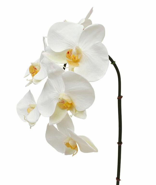 Rama artificial orquídea blanca 55 cm