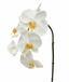 Rama artificial orquídea blanca 55 cm
