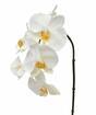Rama artificial orquídea blanca 55 cm