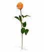 Rama artificial Rosa naranja 52 cm