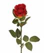 Rama artificial Rosa roja 74 cm