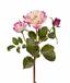 Rama artificial Rosa rosa 50 cm