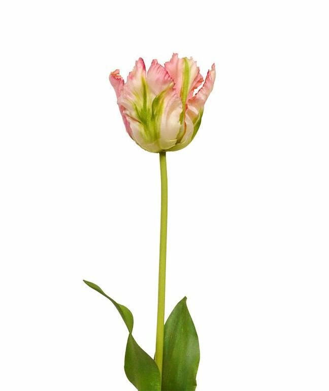 Rama artificial Tulipán verde-rosa 70 cm