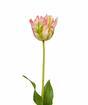 Rama artificial Tulipán verde-rosa 70 cm