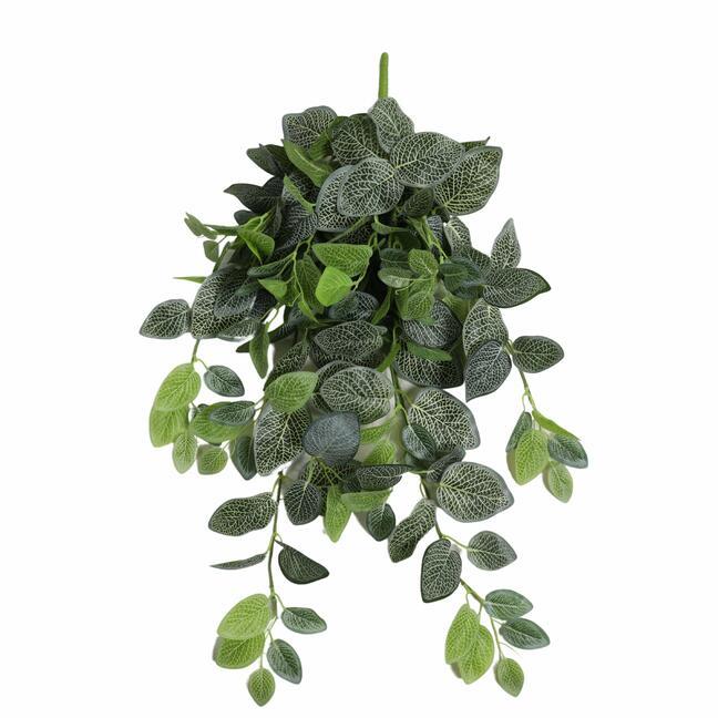 Zarcillo artificial Fitónia blanco 80 cm