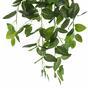 Zarcillo artificial Fitónia verde 80 cm