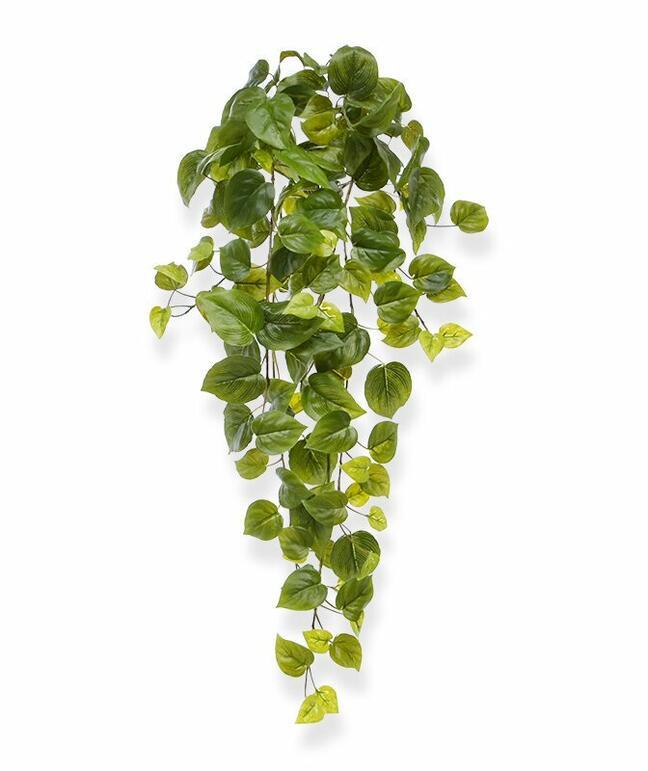 Zarcillo artificial Philodendron 65 cm