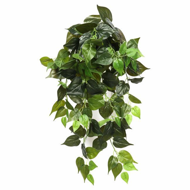 Zarcillo artificial Philodendron Cordatum 80 cm