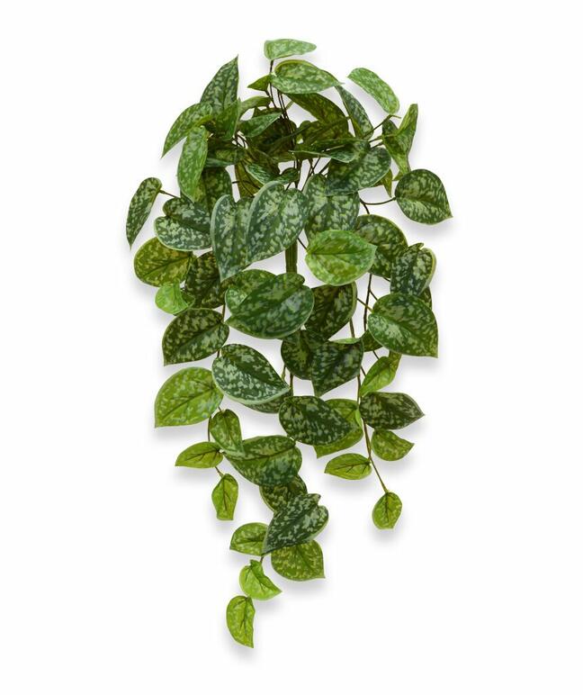 Zarcillo artificial Potosovec 60 cm